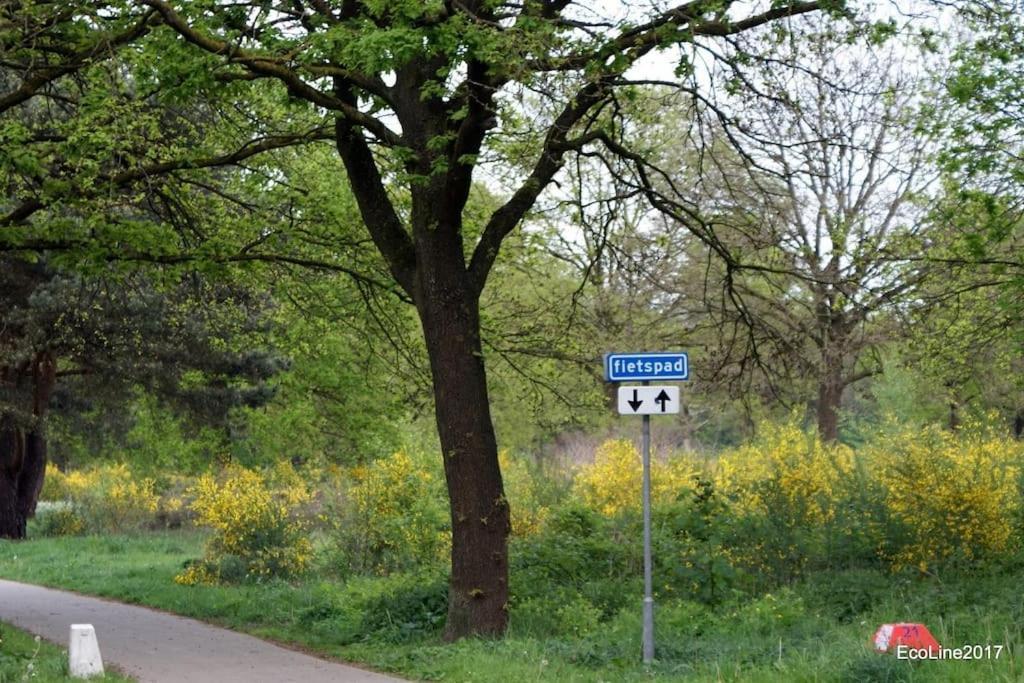 Вилла Huinerhofje 2 - Vrijstaand Met Grote Omheinde Tuin, Rust, Privacy En Nabij Bossen Пюттен Экстерьер фото